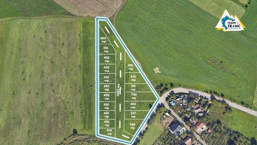 Teren de 11500 mp pentru Complex Reziden?ial in Sannicolau Mic - 3