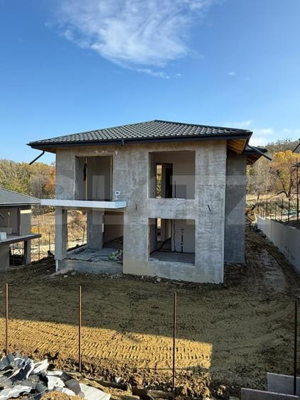 Casa 4 camere, P+E, zona Birnova-Pietrarie - 1
