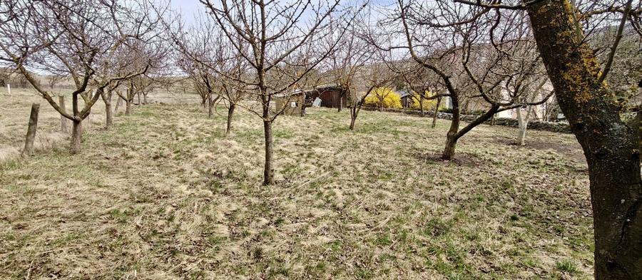 Vand teren in borhanci - 5