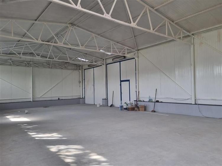 Hala Semicentral 17 kwa - 1