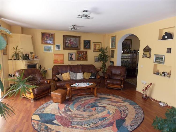 Vanzare casa individuala locatie de exceptie in Gruia- zona Parcul Cetatuia - 1