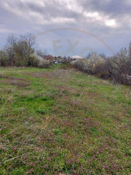 Teren Topoloveni - 3670 mp - langa padure, aproape de Centrul orasului - 5