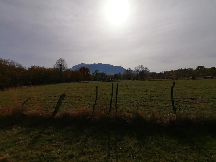 Teren in Sohodol-Bran - 4