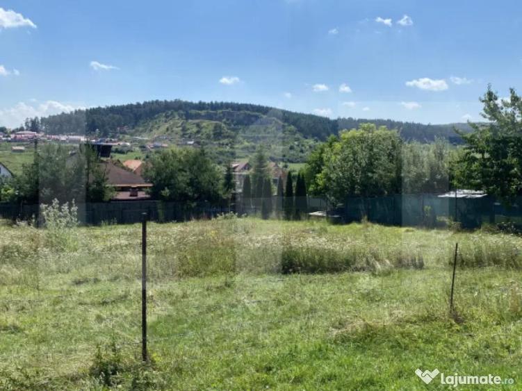 Teren intravilan de vanzare, 611 mp Strada Borviz - 3