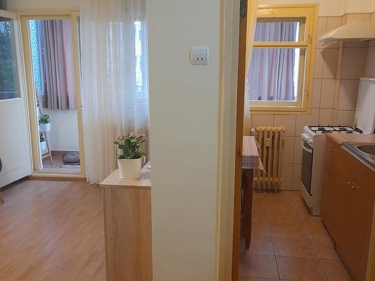 CAMPIA LIBERTATII ,GARSONIERA INCHIRIERE - 4