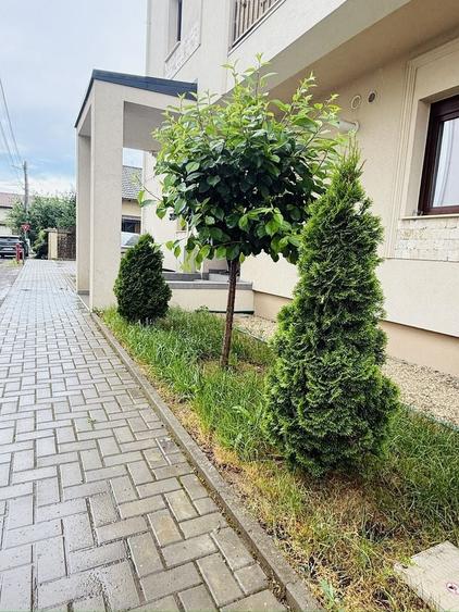 Braytim-Giroc | 2 camere | Liniște | Mobilat-Utilat | Parcare | - 1