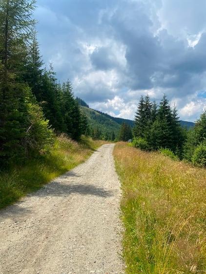 2 terenuri in zona Obarsia Lotrului - 15