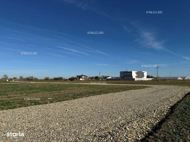 Teren 490500 mp Finan?are direct proprietar aproape Bucure?ti - 7