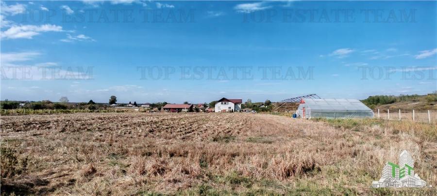 Ferma 3,3ha, din care 2,5ha intravilan, vila 7 camere, D+P+E+M, casa pentru munc - 9