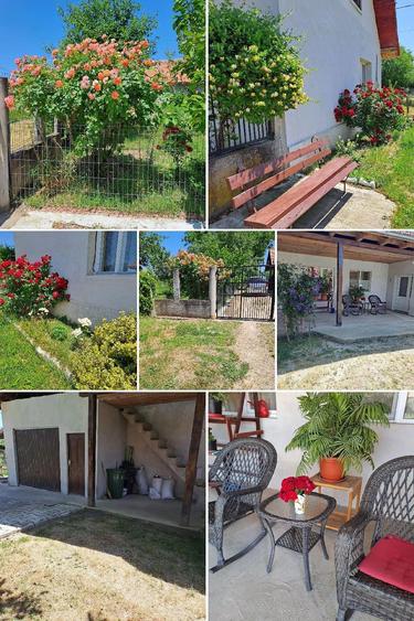 vand casa cu gradina mare - 2