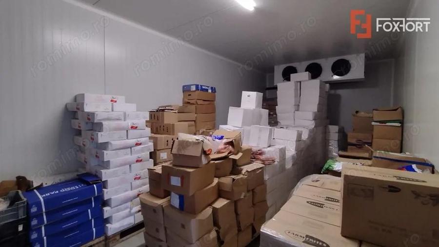 Inchiriere spatiu depozitare produse alimentare, Sacalaz - 10