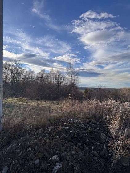 Teren autorizat Faget / Zona Vila Tusa / PUZ Aprobat - 3