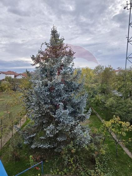 DE VANZARE Casă / Vilă cu 6 camere în Popesti-Leordeni - 53