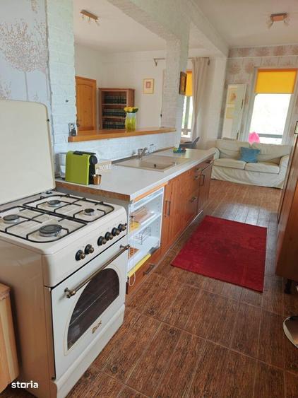 PESTERA CASA DE VANZARE - MOECIU! - 6