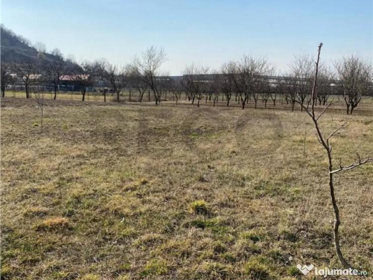 RECO Teren intravilan in zona Alesd Sat Subpiatra 800mp - 4