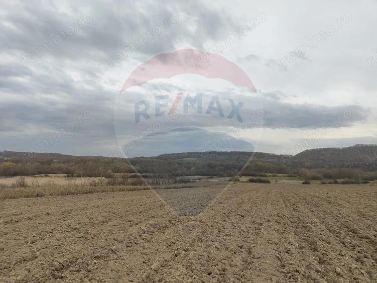 Teren lacul Surduc - Fardea - 4