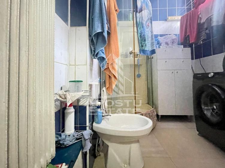 Casa individuala cu spatii comerciale - Zona Parneava spre Alfa - 28