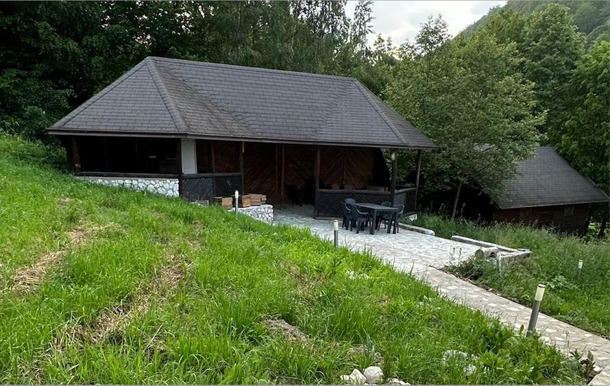 Vila la munte Brasov-Zarnesti, Piatra Craiului, Plaiul Foii, Gym, sauna, jacuzzi - 13