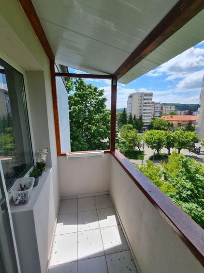 De inchiriat Apartament 2 camere Vasile Goldis et. 4/4 - 1