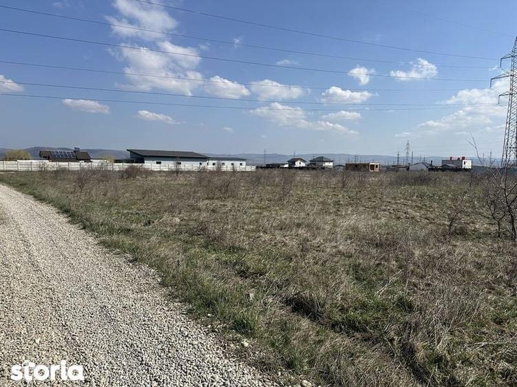 Teren Walter Maracineanu 6000 mp (90 m front stradal) Stejarului - 1