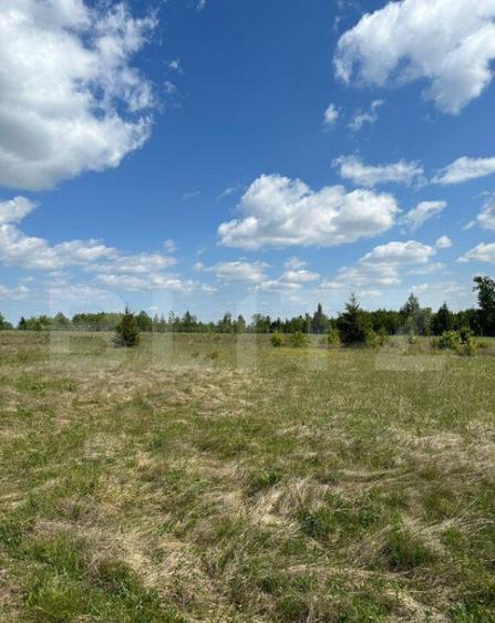 Teren intravilant, 2500 MP, parcelabil , front 25 ml ,Hardic - 12