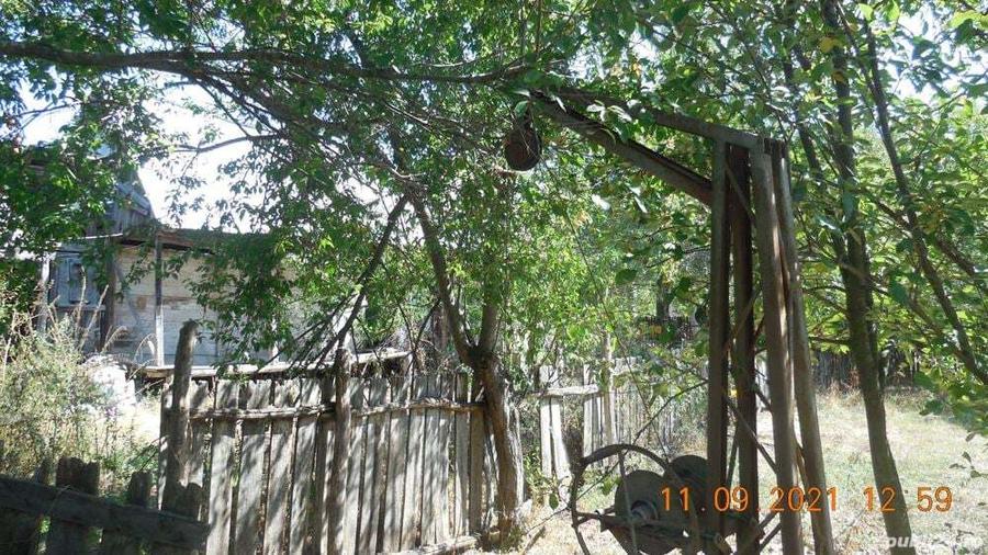 Casa taraneasca si teren comuna Murgasi sat Balota de Jos DJ - 6