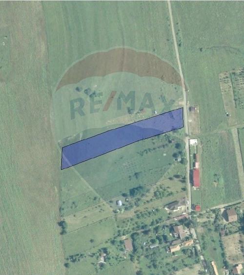 Teren intravilan de vanzare 2.307 mp - Salicea, comuna Ciurila - 5
