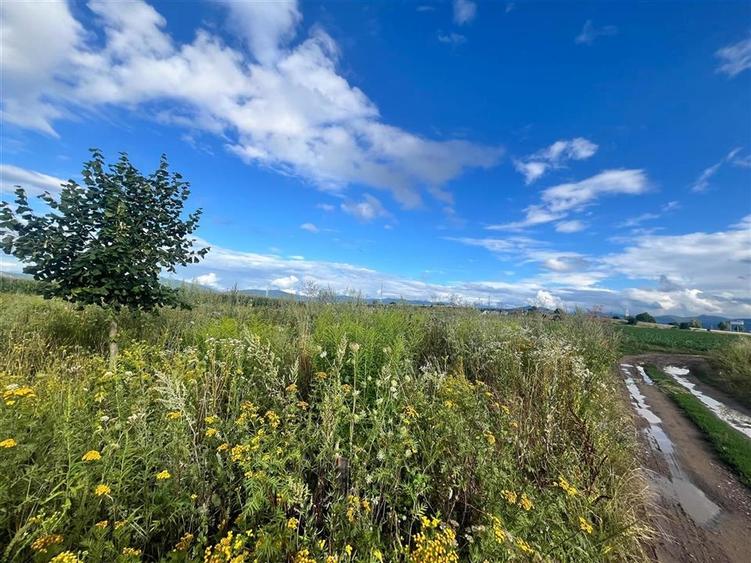 TEREN INTRAVILAN, 500 MP, HARMAN - 2