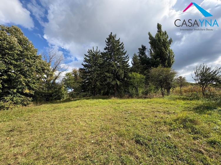 Lot teren 8.344 mp - Deschidere la 3 drumuri - Buhoci! - 1