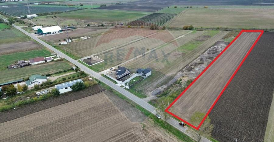 Teren intravilan 10869mp Mircestii Vechi / DJ 204E - 4