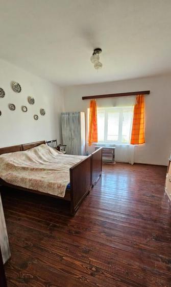 Apa, casa P+M,14 ari teren - 13