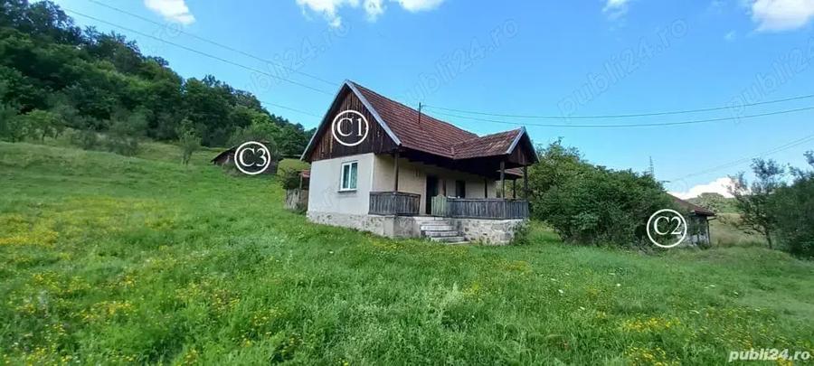 Vand Proprietate (casa, ?ura ?i teren) in Valea Bradului, Mun. Brad, Jud. Hunedoara - 8
