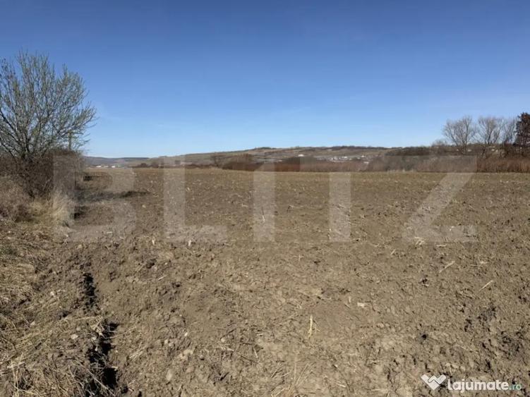 Teren extravilan in suprafata de 4000 mp in loc. Hereclean - 3