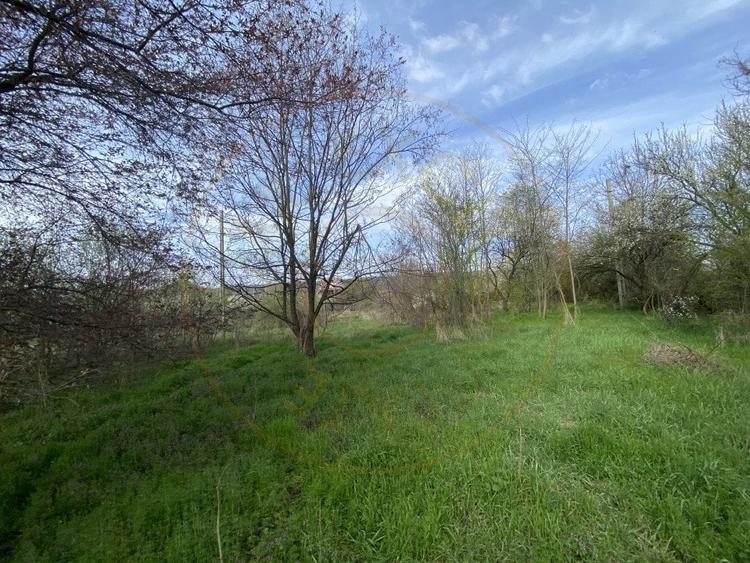 Teren intravilan 1.400 mp - Schitu Golesti AG - 7