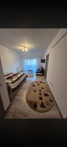 Apartament cu 1 camera,etaj intermediar,parcare cu CF, zona Porii - 2
