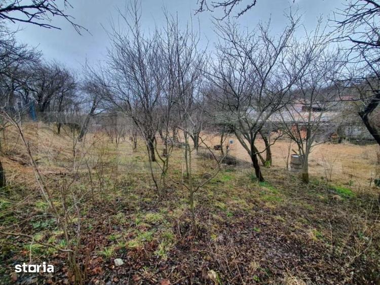 Casa cu teren generos in Ceanu Mic 1.700 mp, la doar 20 km de Cluj - 4