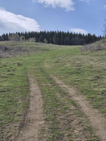 Teren intravilan la baza pădurii Valea Doftanei sat Traisteni (poduri) - 11