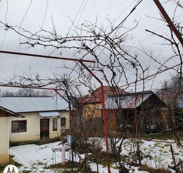 Teren 507mp cu casa batraneasca - 6