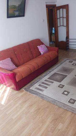 Apartament 2 camere, PET FRIENDLY, zona Dacia - 3