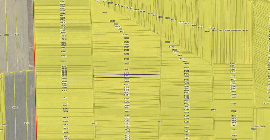 URGENT! Teren arabil 8 200 mp Nănești Vrancea preț bun negociabil - 3