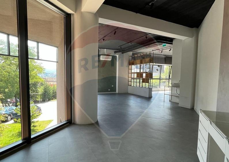 Spa?iu comercial Vanzare cu Chiriasi | Taietura Turcului - 6