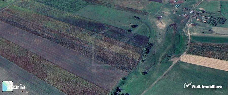 Teren nucifer cu plantatie de aluni, sat Frata, jud. Cluj - 1