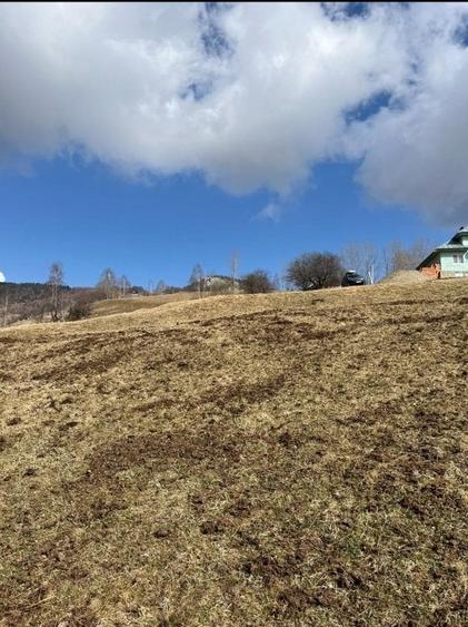Vanzare Teren cu Punct de Belvedere in Moieciu zona Magura-Pestera - 6