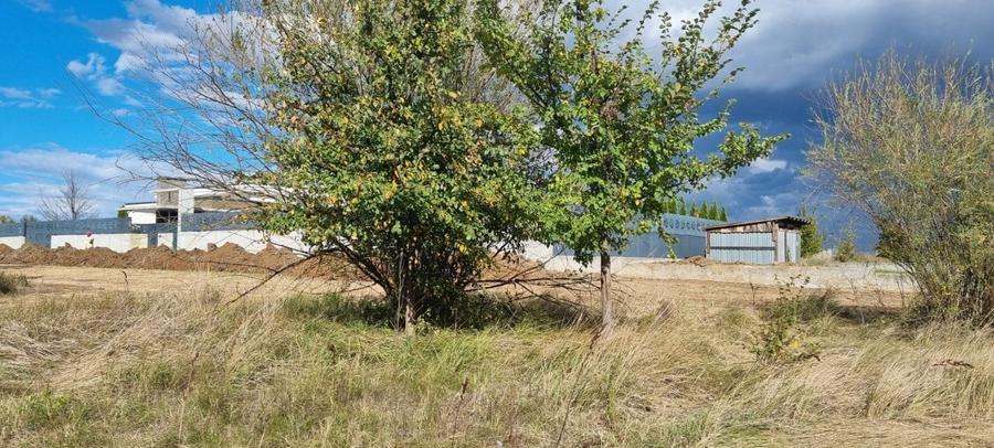 Lot Compact - Pretabil Lotizare - Dezvoltare proiect Vile - 9