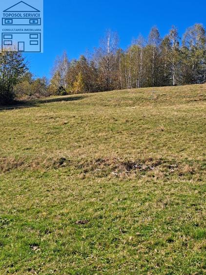 Teren extravilan in localitatea Bulz - 14