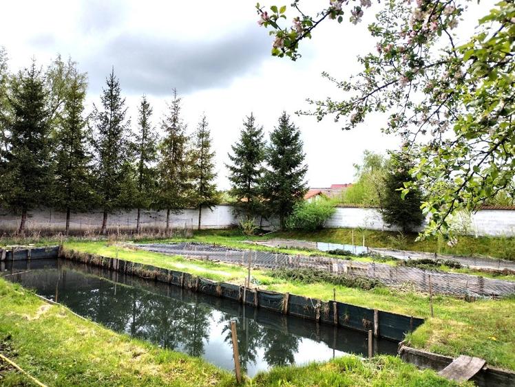 Oportunitate: Teren constructii si pastravarie  in Zona Metropolitana Brasov - 1