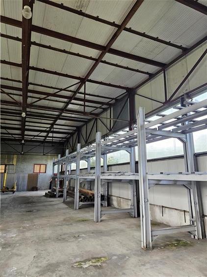 Proprietate Industriala - Productie - Industrie Alimentara - 22