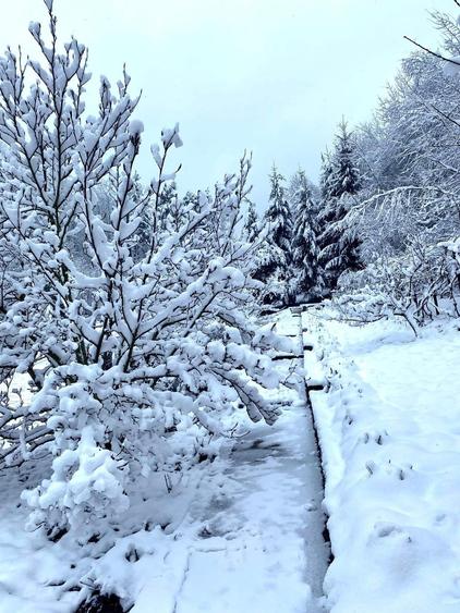 Teren intravilan 5660 mp - 6