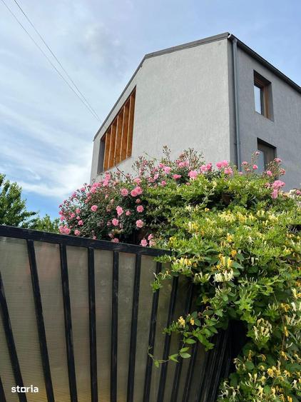 Ofer spreinchiriere - 2