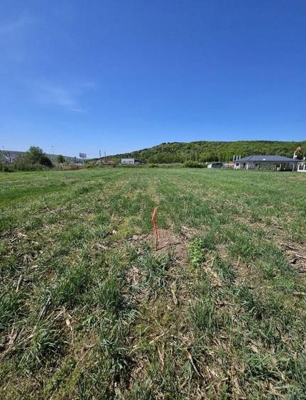 Teren autorizat Jucu de Mijloc 6 4 2 case - 2